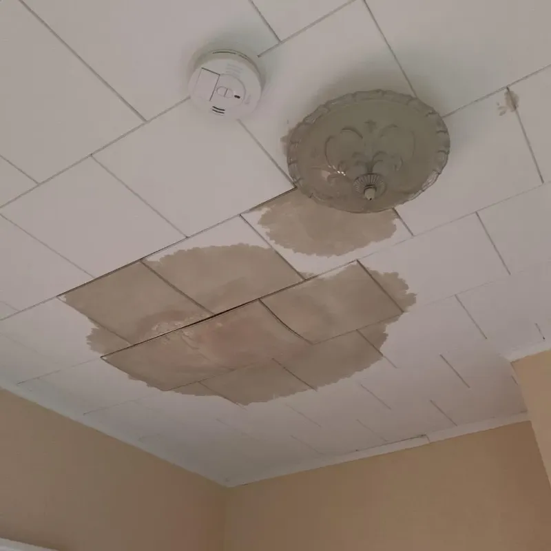 Ceiling Water Damage Repair in La Grulla, TX