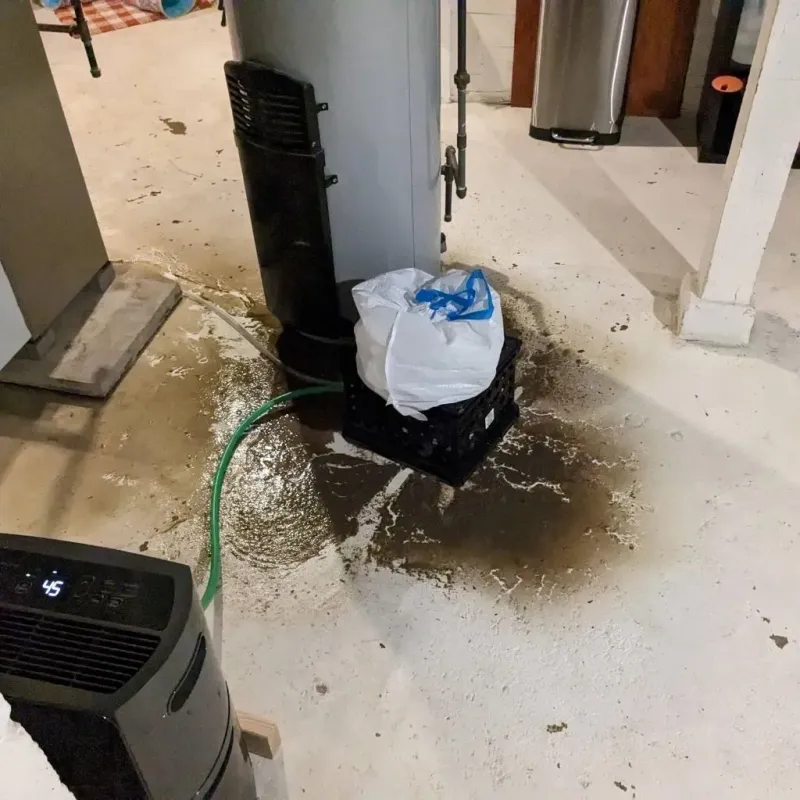 Sewage Backup Cleanup Service in La Grulla, TX